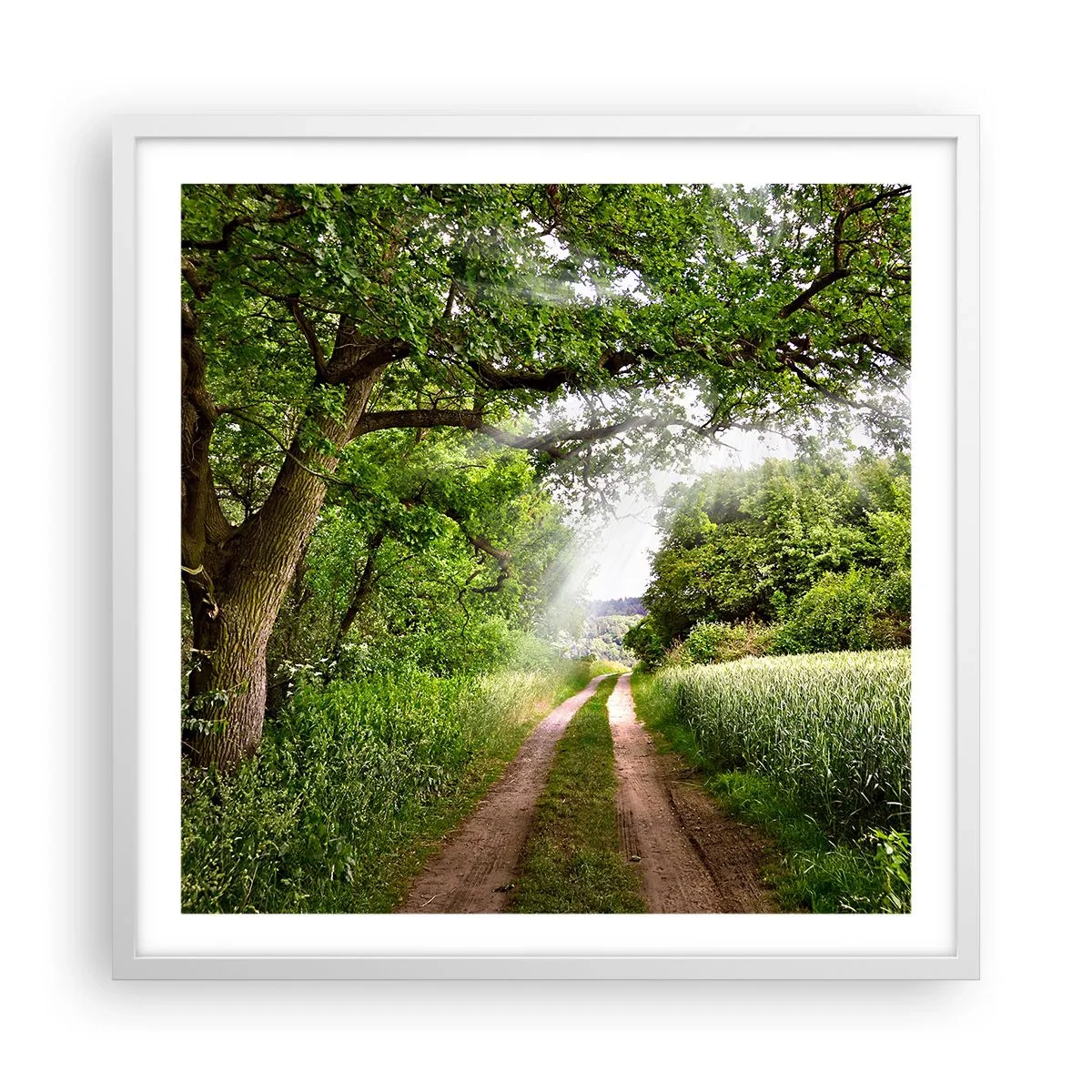 Poster in een witte lijst - Et in Arcadia ego - 60x60 cm