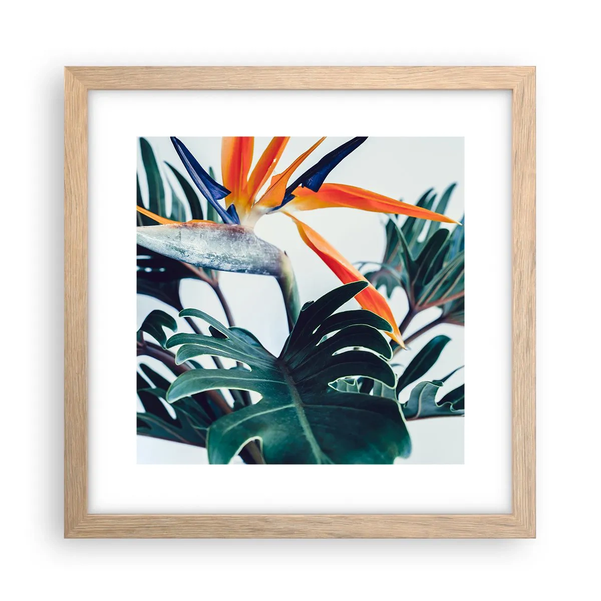 Een poster in een licht eiken lijst - Vogelstruik - 30x30 cm