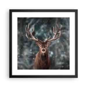 Poster in een zwarte lijst - Gekroond tot koning van het bos - 40x40 cm