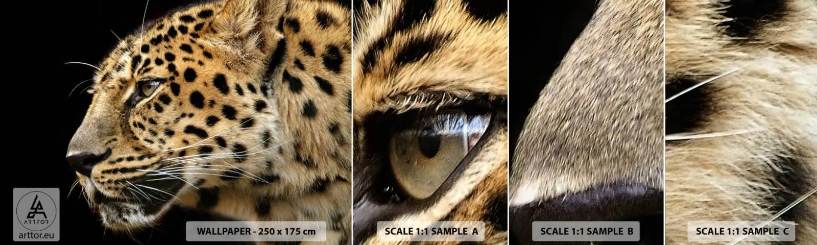 Fotobehang Staaltje Standard Eco - Rustig, gefocust, klaar - Dieren, luipaard, Afrika - 100x30 cm