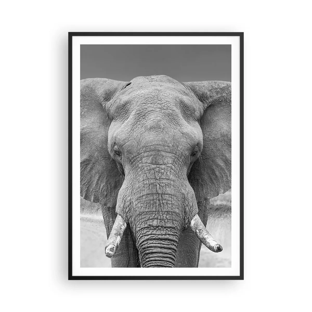 Poster in een zwarte lijst - Welkom in mijn wereld - 70x100 cm