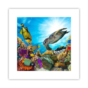 Poster - Koraalpromenade - 30x30 cm