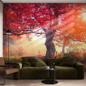Fotobehang op maat Premium Canvas - Bloeiende razernij - Landschap, Park, Bloemen