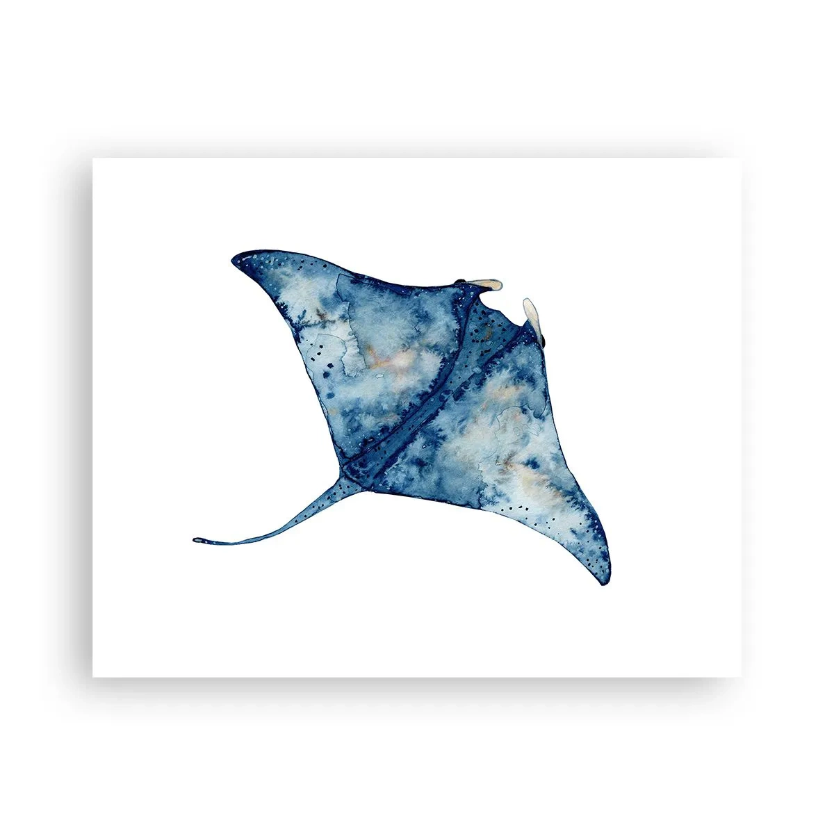 Poster - Leven in blauw - 50x40 cm