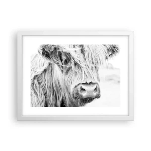 Poster in een witte lijst - Schotse wildheid - 40x30 cm