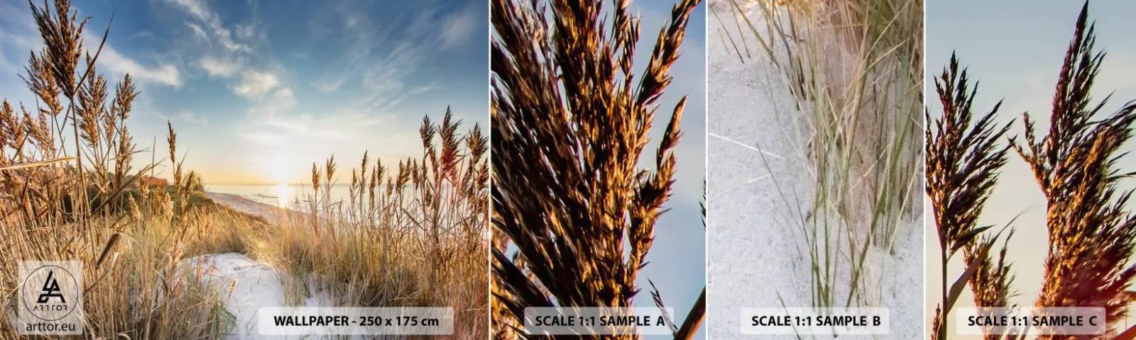 Fotobehang Monster Zelfklevend Deluxe Sticker - Noord strand - Landschap, Zee, Strand - 100x30 cm