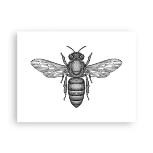 Poster - Insectenportret - 40x30 cm