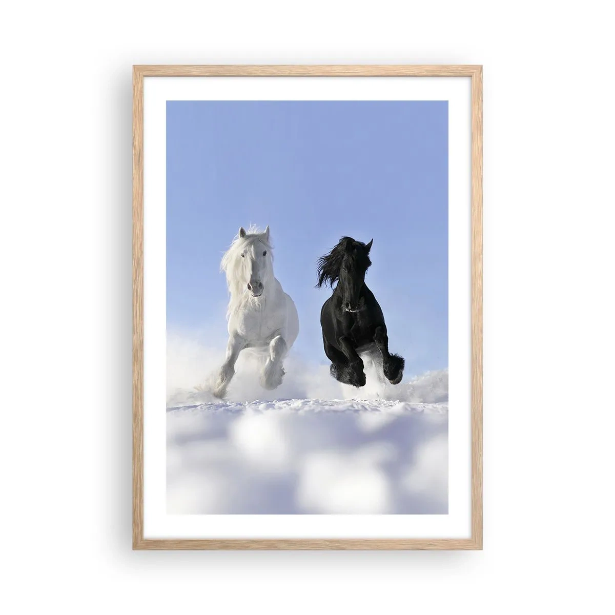 Een poster in een licht eiken lijst - Zwart-wit galop - 50x70 cm