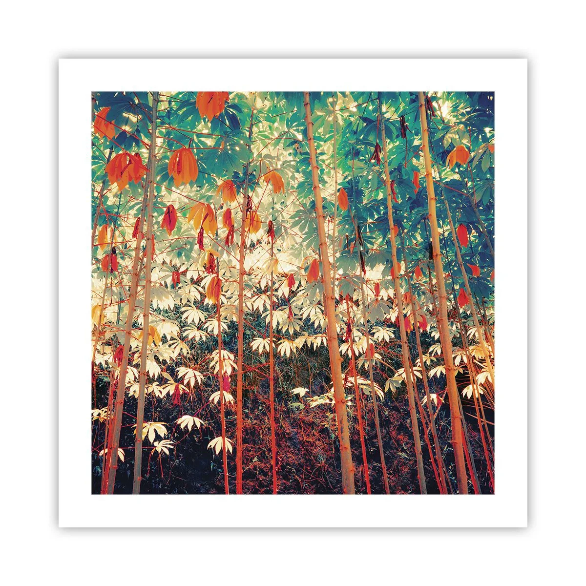 Poster - Het geheime leven van de bladeren - 50x50 cm