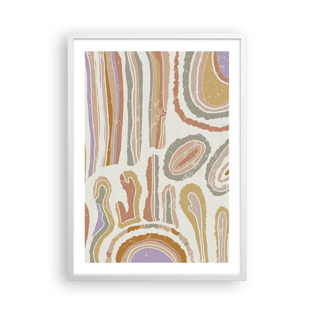 Poster in een witte lijst - Kleurrijke doorsneden - 50x70 cm