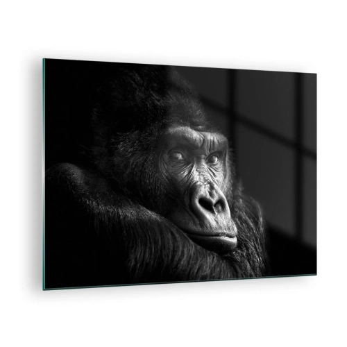 Schilderen op glas - Zwart-witportret van een gorilla in de schaduw van een raam - 70x50cm - En waar kijk je naar? - Moderne wanddecoratie voor woonkamer en slaapkamer ARTTOR
