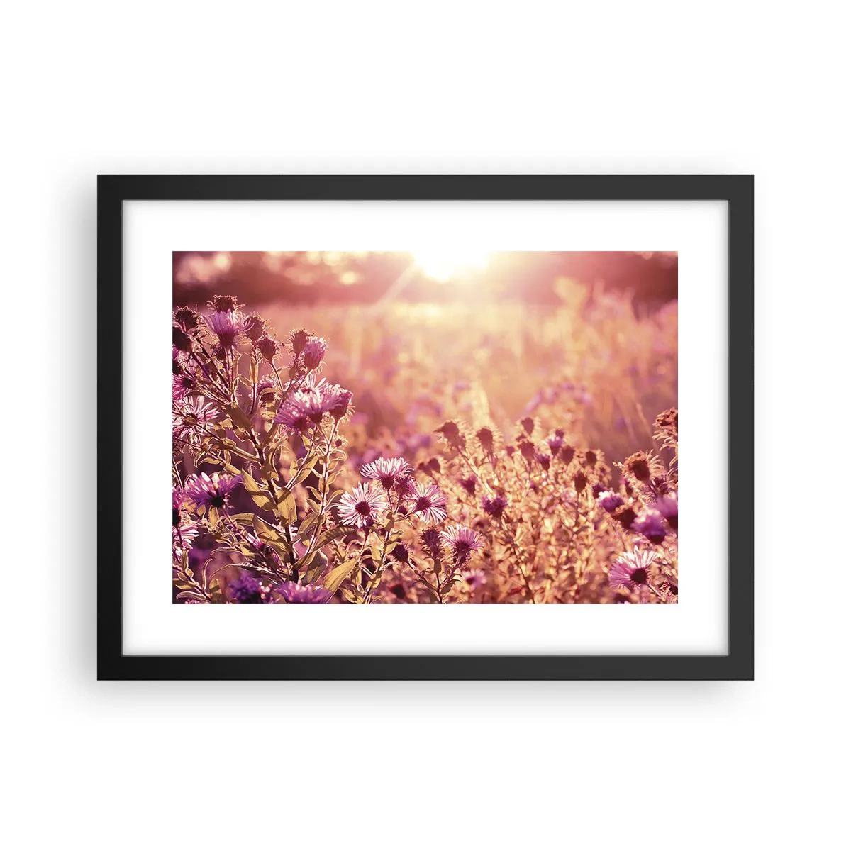 Poster in een zwarte lijst - Voordat de zomer voorbij is - 40x30 cm