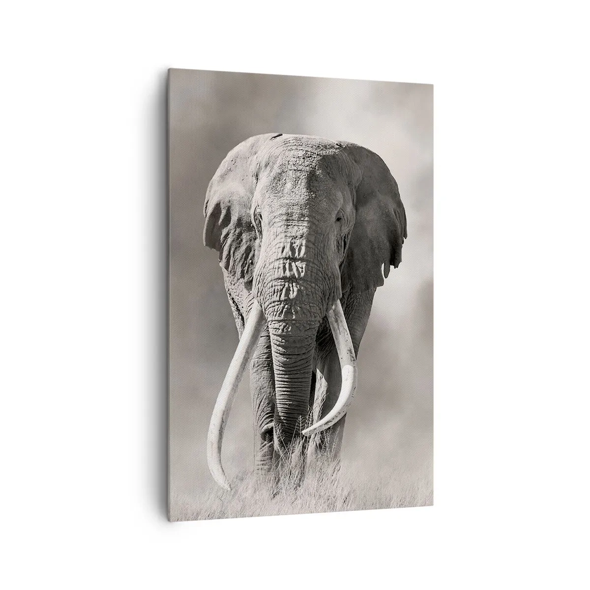 Schilderen op canvas - Afrikaanse patriarch - 80x120 cm