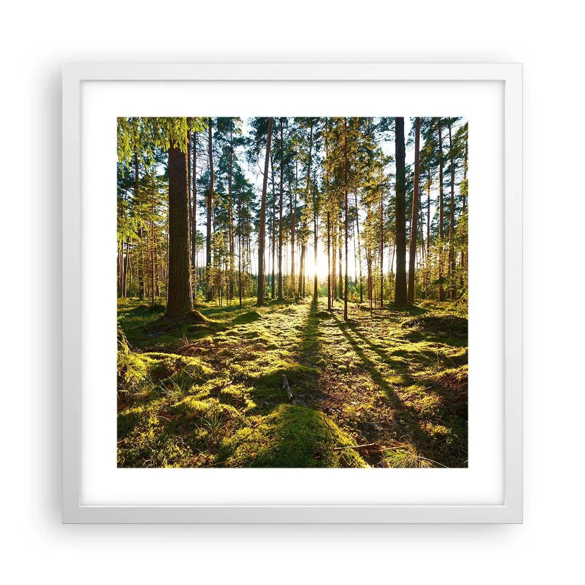 Poster in een witte lijst - … Achter de zeven bossen - 40x40 cm