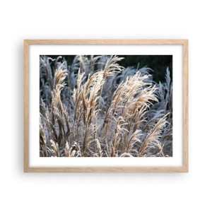 Een poster in een licht eiken lijst - Gekleed met vorst - 50x40 cm