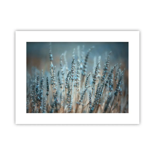 Poster - Geurig korenveld - 40x30 cm