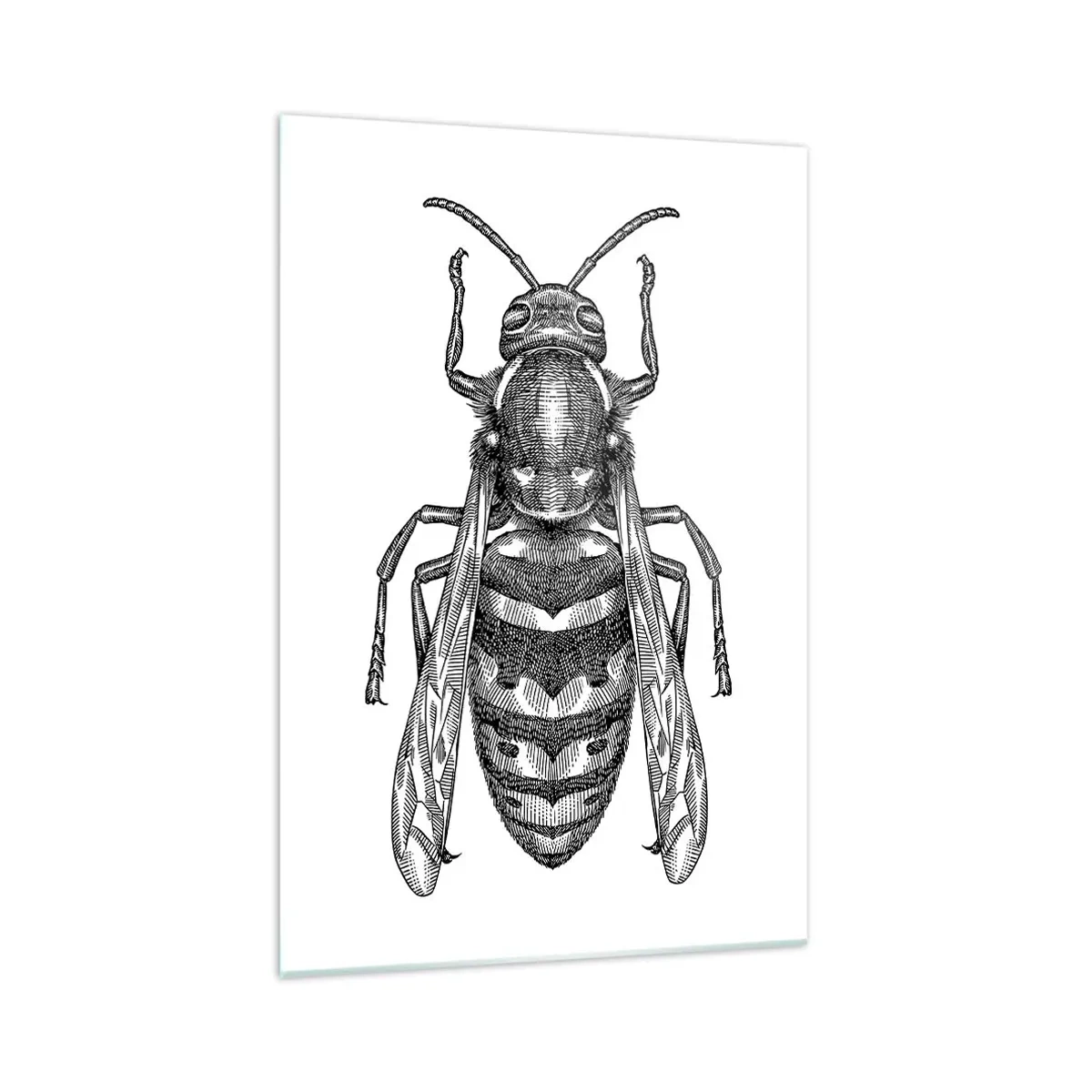 Schilderen op glas - Van een insectenplaneet - 70x100 cm