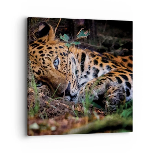 Schilderen op canvas - Geloof me - 40x40 cm