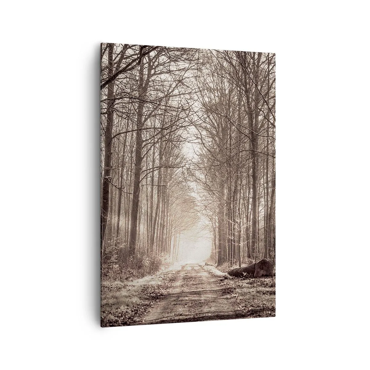 Schilderen op canvas - Boskathedraal - 70x100 cm