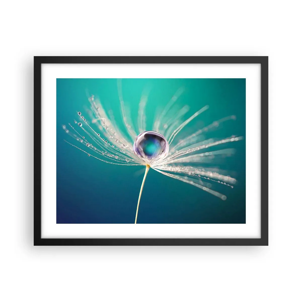 Poster in een zwarte lijst - Mystiek moment - 50x40 cm