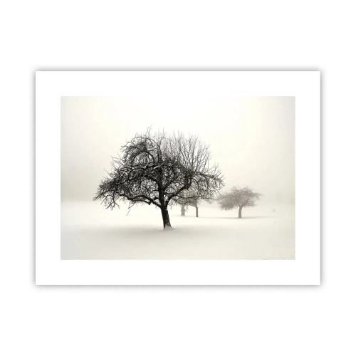 Poster - Winterslaap - 40x30 cm