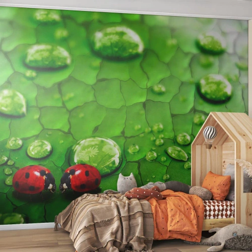 Fotobehang Premium Sand - Ontmoeting in het groen - Natuur, Lieveheersbeestje, Een druppel water - 250x175 cm