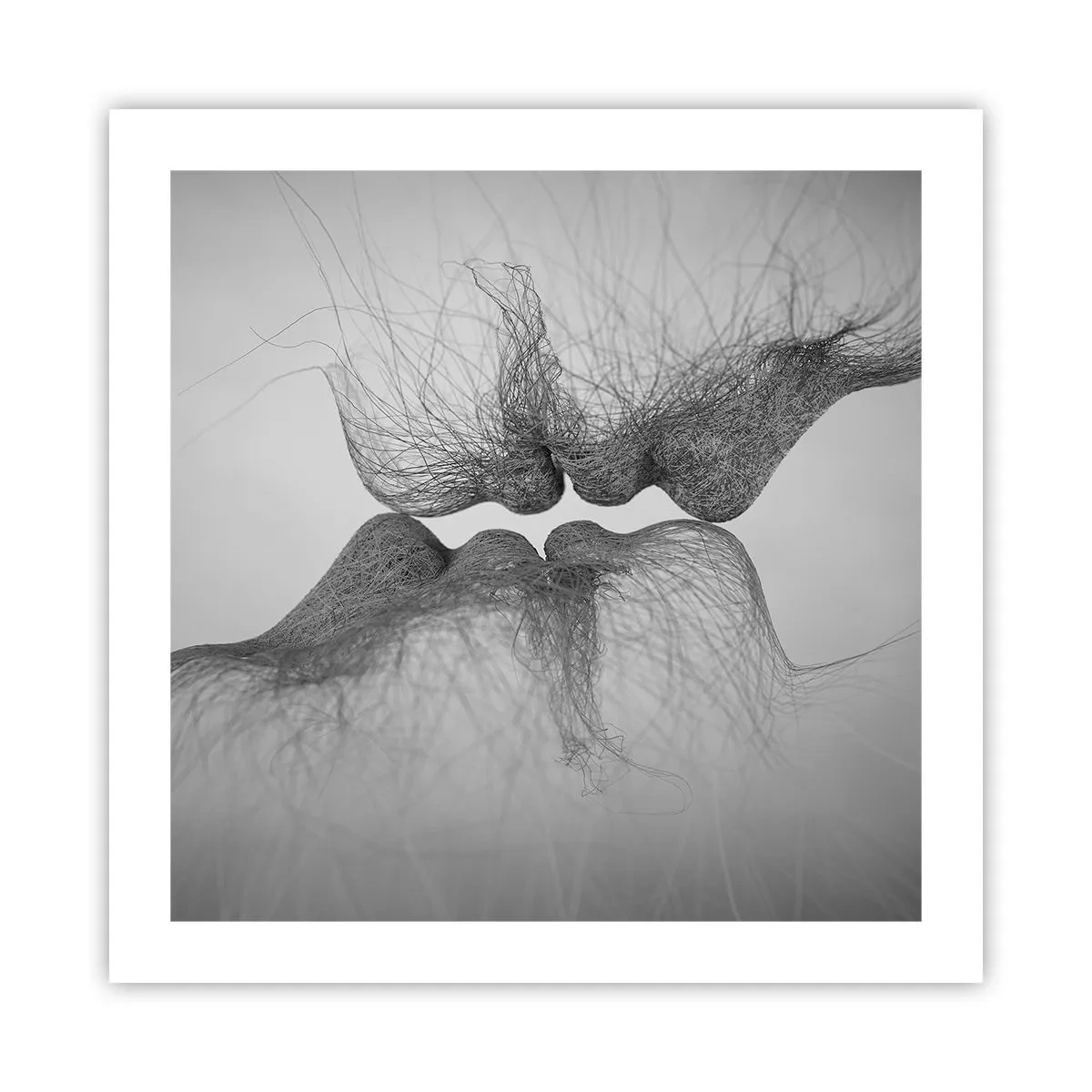 Poster - Kus van de wind - 50x50 cm