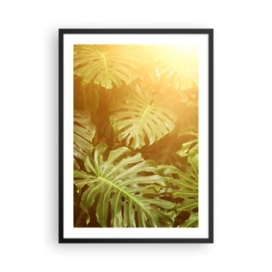 Poster in een zwarte lijst - Monsterabladeren creëren in de zonnestralen een tropische sfeer - 50x70cm - In het groen treden... - Moderne wanddecoratie voor woonkamer en slaapkamer ARTTOR