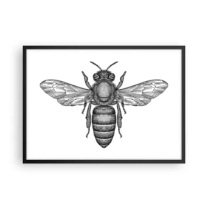 Poster in een zwarte lijst - Insectenportret - 70x50 cm