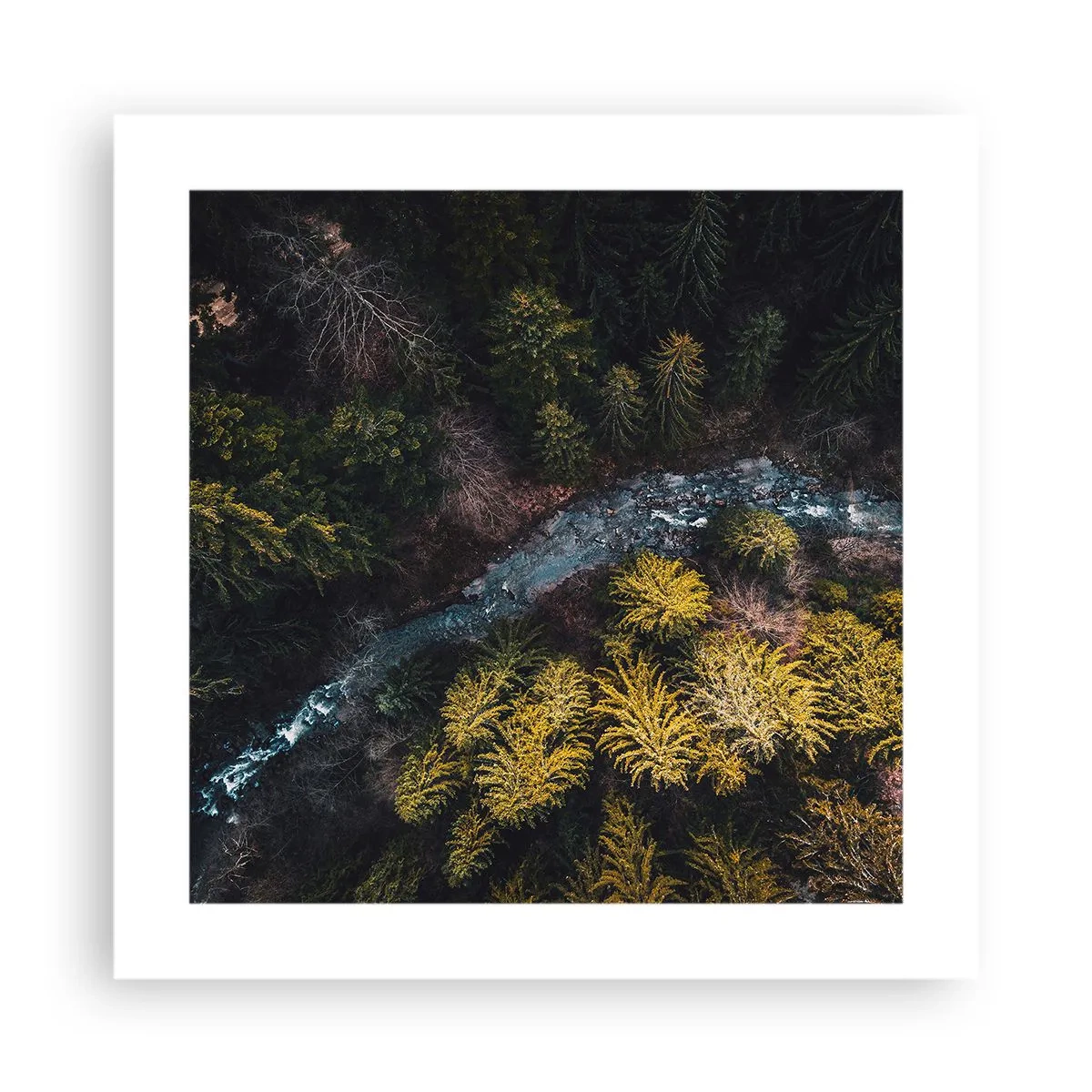 Poster - Snel, sneller en sneller - 40x40 cm