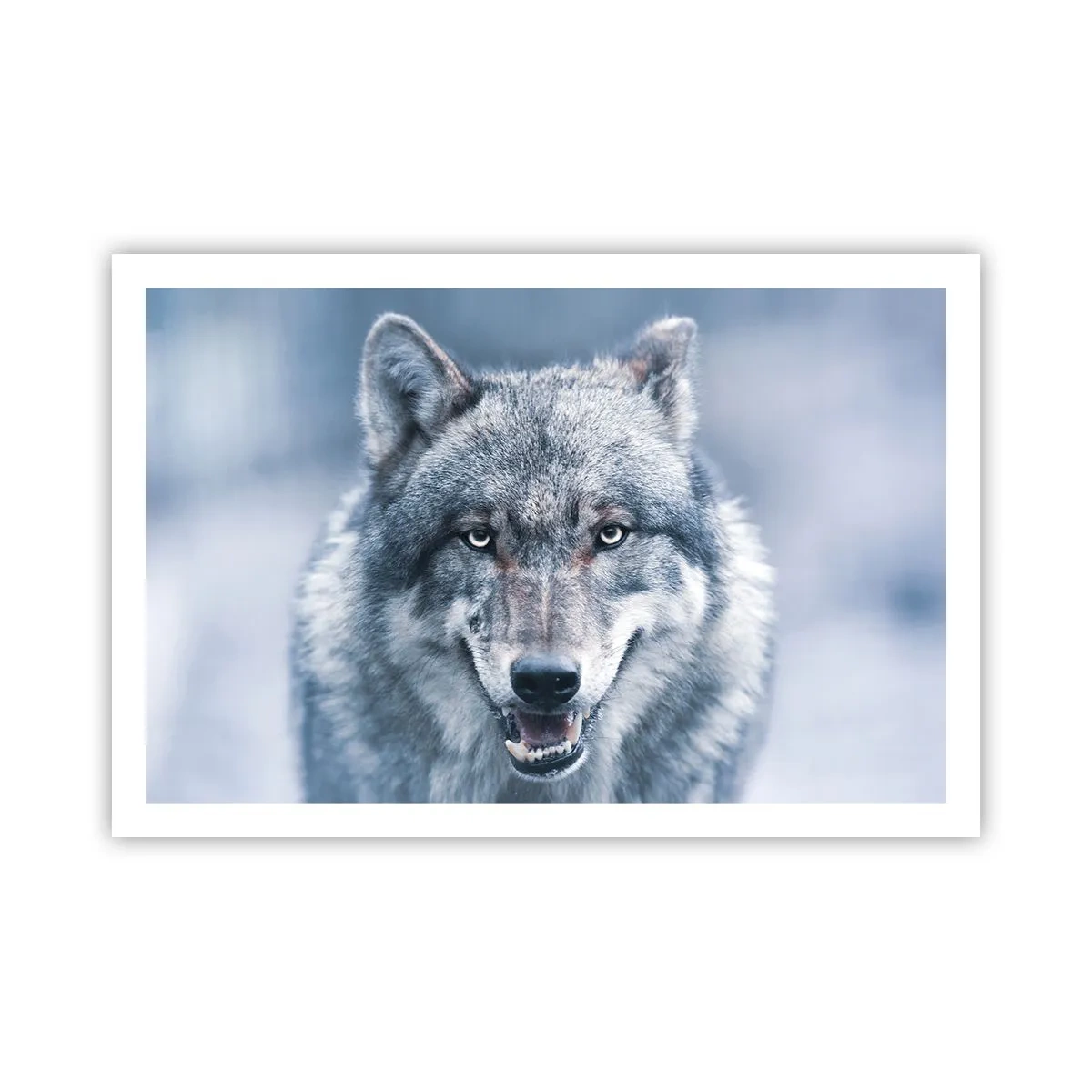 Poster - Ga jij de uitdaging aan? - 91x61 cm