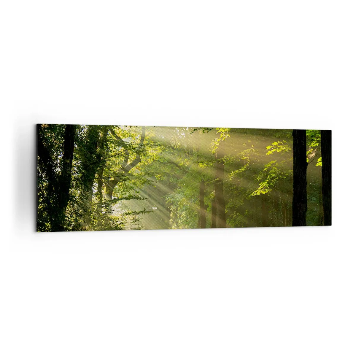 Schilderen op canvas - Bosmoment - 160x50 cm