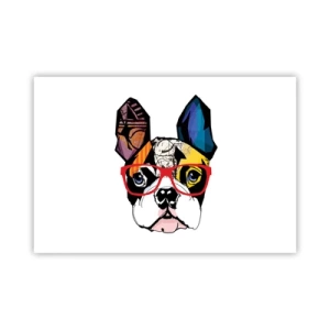 Poster - intellectueel - 91x61 cm