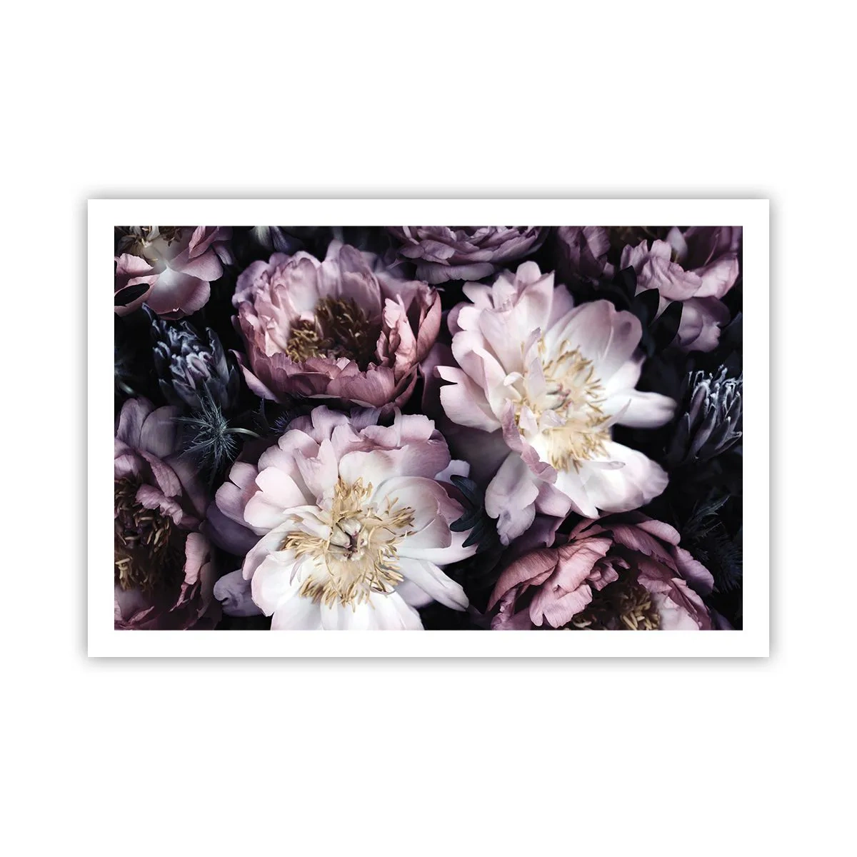 Poster - Boeket ouderwets - 91x61 cm