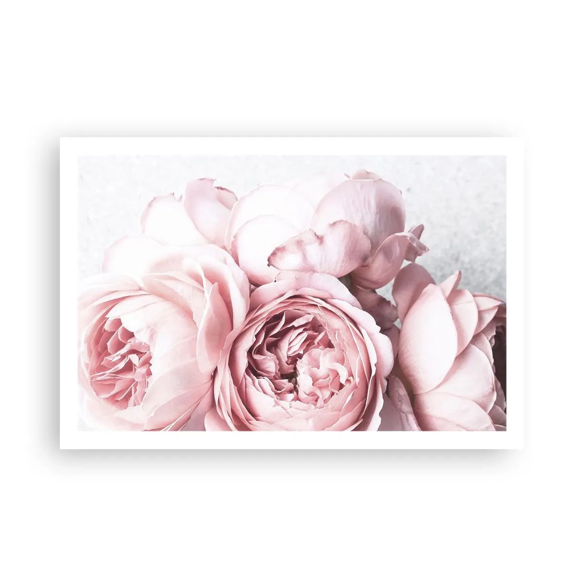 Poster - Voor romantici - 91x61 cm
