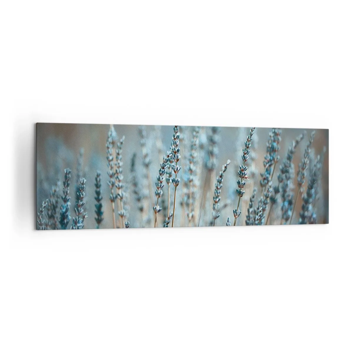 Schilderen op canvas - Geurig korenveld - 160x50 cm