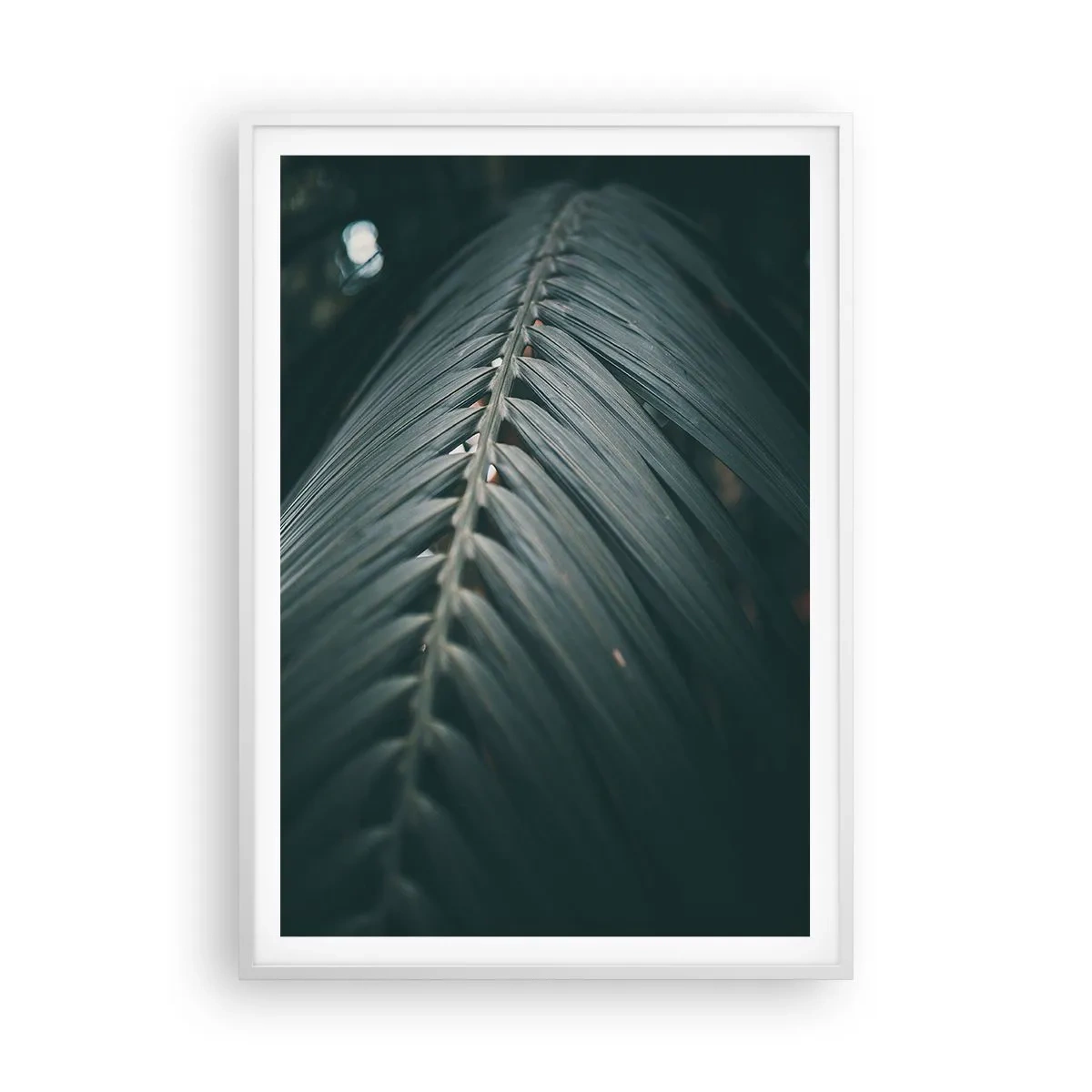 Poster in een witte lijst - De precisie van de natuur - 70x100 cm