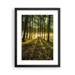 Poster in een zwarte lijst - Foto van de hele lente - 30x40 cm
