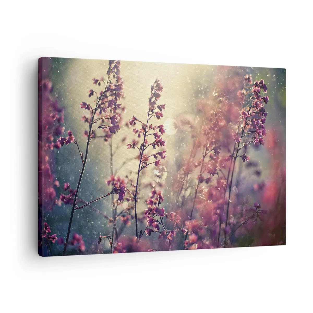 Schilderen op canvas - Bloemen in het zonlicht tegen de achtergrond van de natuur - 70x50cm - Geheime Tuin - Moderne wanddecoratie voor woonkamer en slaapkamer ARTTOR