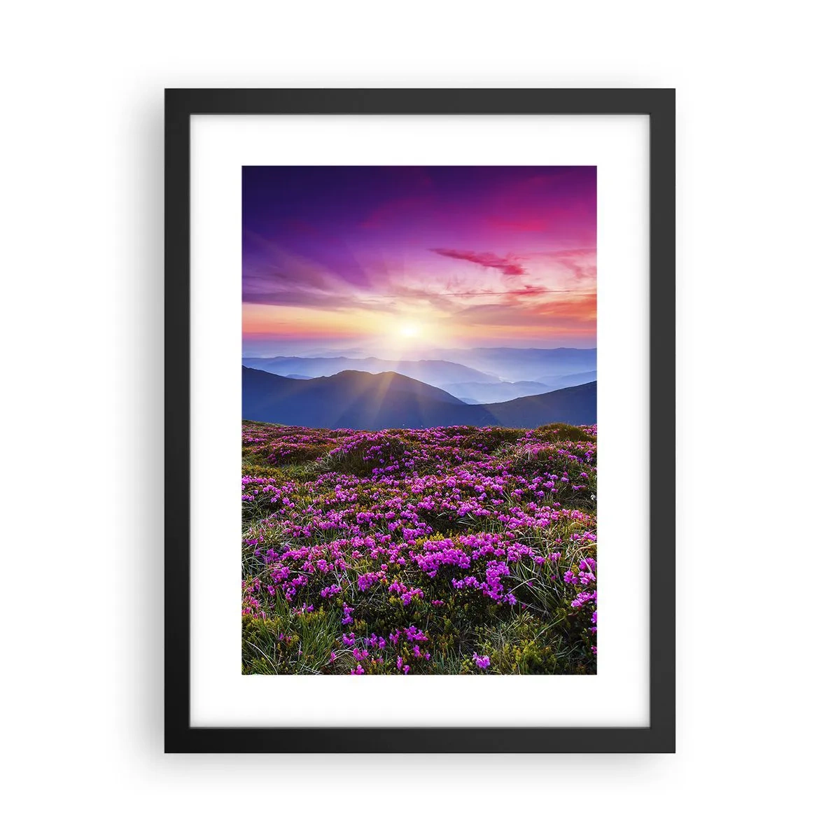 Poster in een zwarte lijst - Kruiden roken naar verse trossen van de velden - 30x40 cm