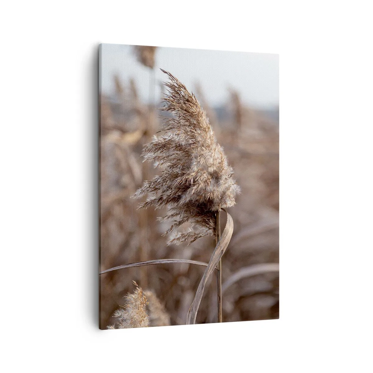 Schilderen op canvas - Tijd om met de wind mee te gaan - 50x70 cm