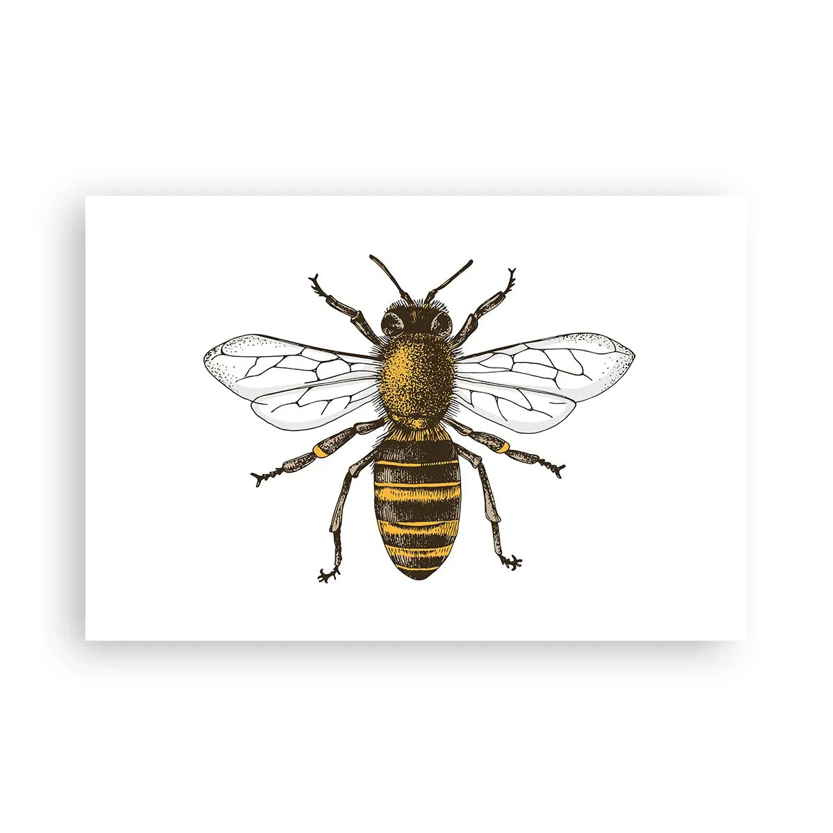 Poster - Mooi en goed - 91x61 cm