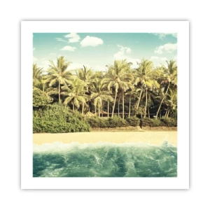 Poster - Hoe zit het hier? - 50x50 cm