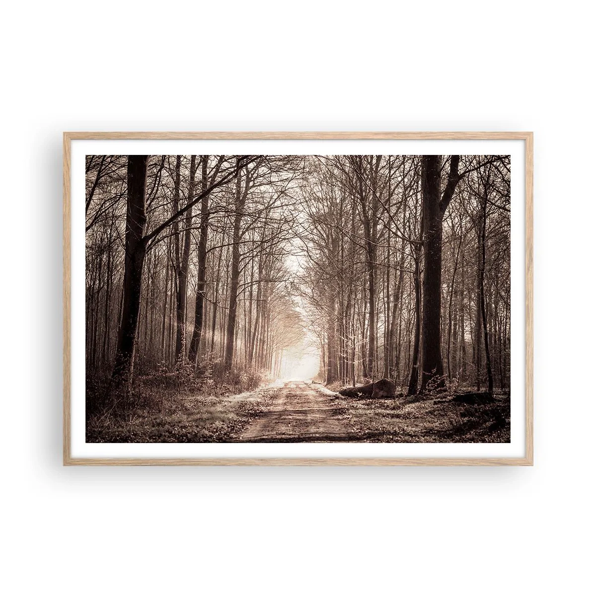 Een poster in een licht eiken lijst - Boskathedraal - 100x70 cm