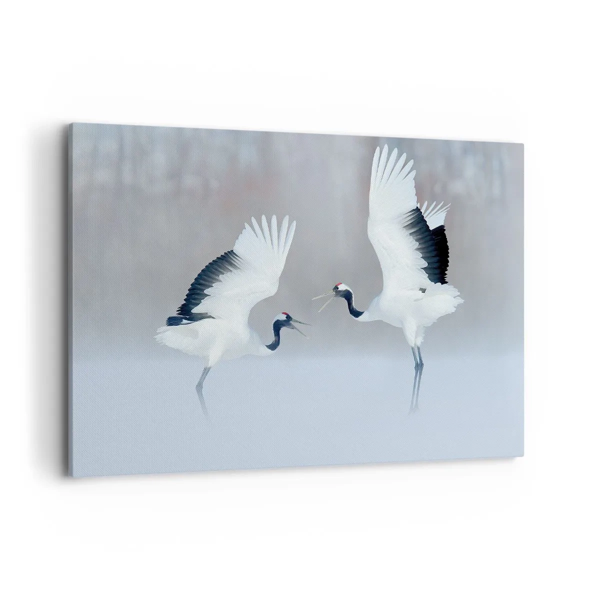 Schilderen op canvas - Dans in de mist - 120x80 cm