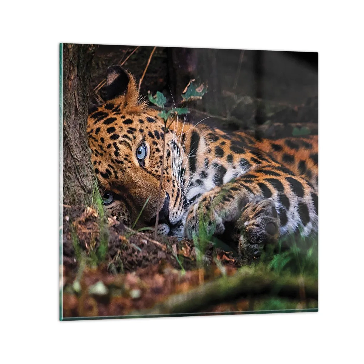 Schilderen op glas - Geloof me - 30x30 cm