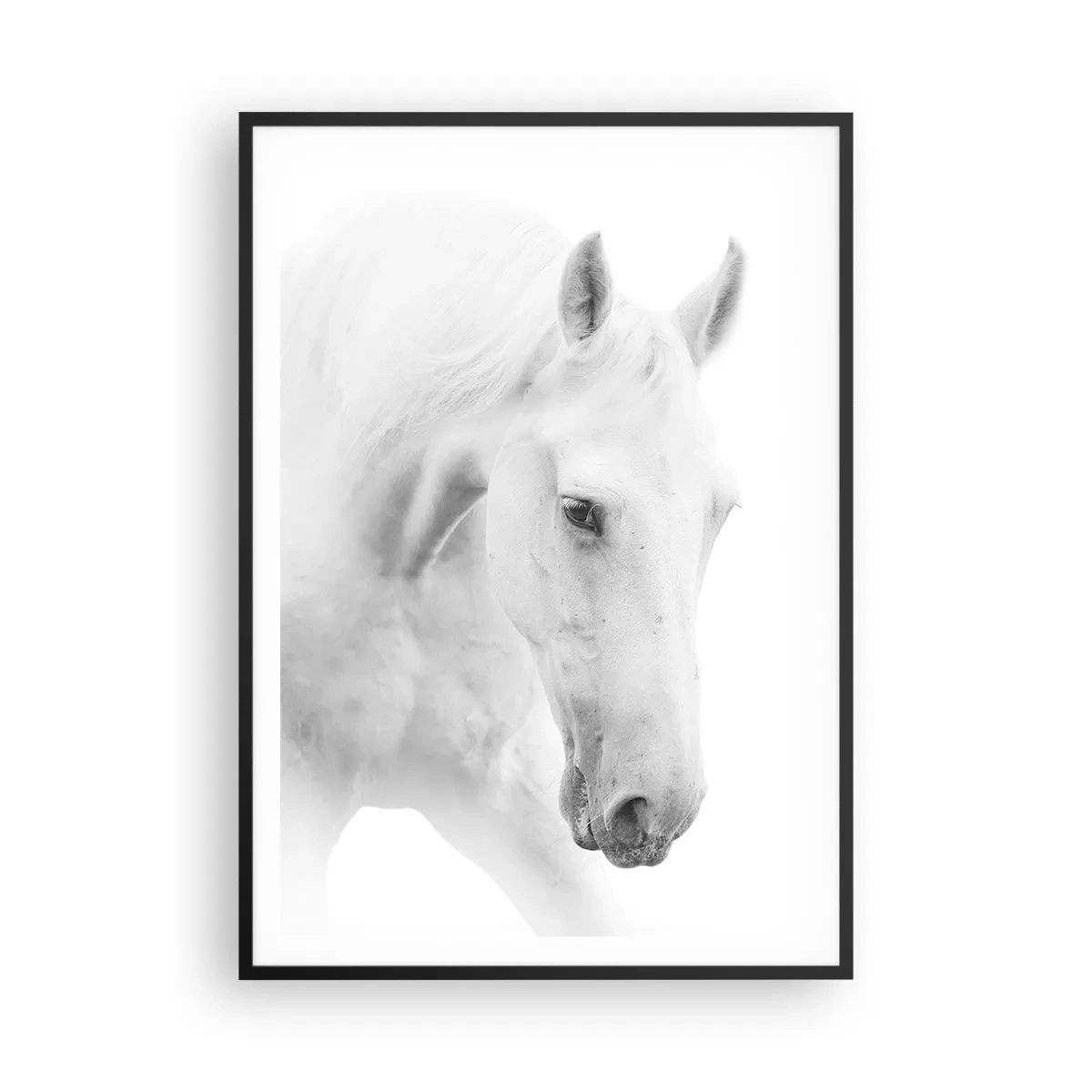 Poster in een zwarte lijst - Is dit vriendschap...? - 70x100 cm