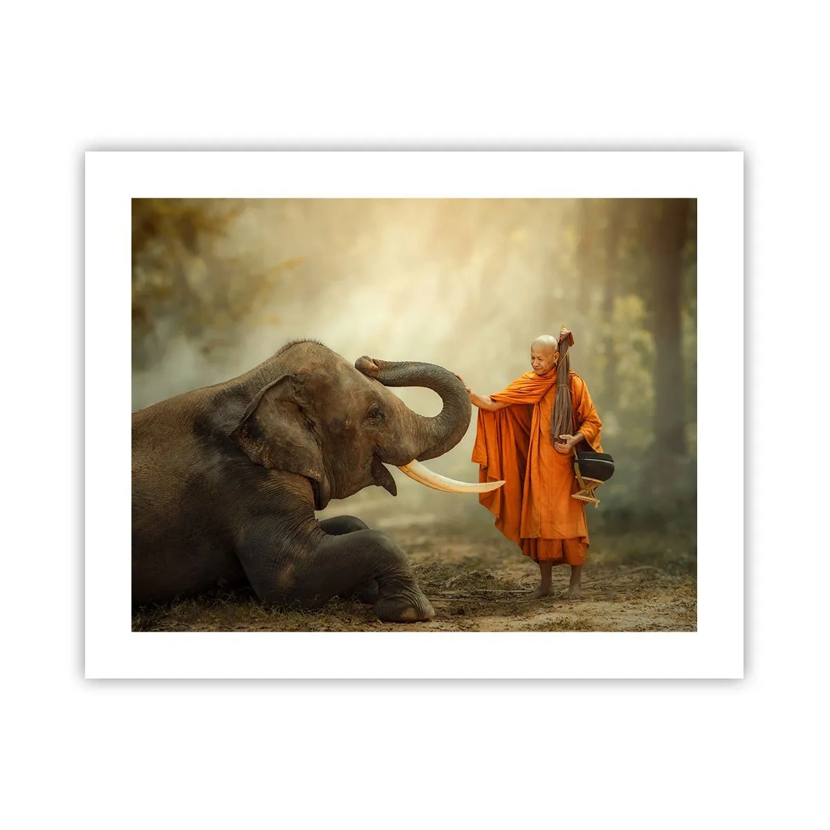 Poster - Ontmoeting tijdens een reis - 50x40 cm