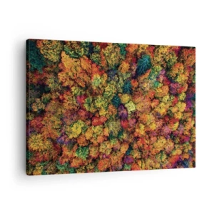 Schilderen op canvas - Kleurrijke boomkronen in het herfstpalet - 70x50cm - Boeket herfstbomen - Moderne wanddecoratie voor woonkamer en slaapkamer ARTTOR