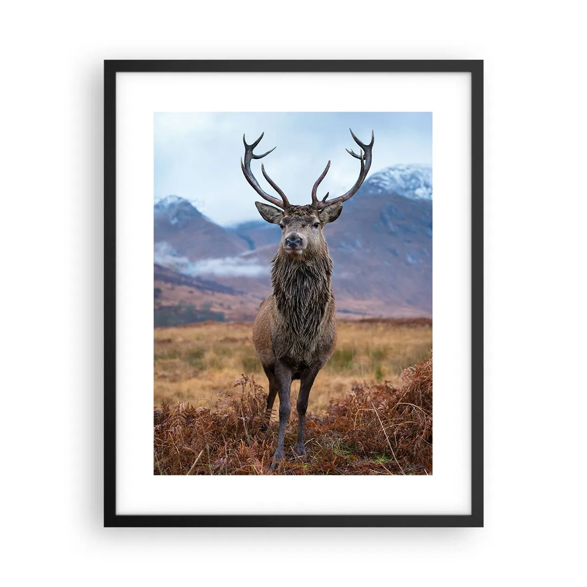 Poster in een zwarte lijst - Op eigen grond - 40x50 cm